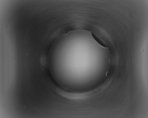 X0000101480044200807071513