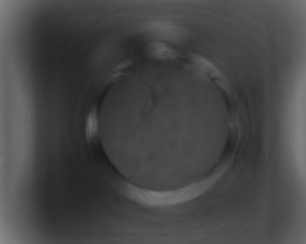X0000101480046200807071513