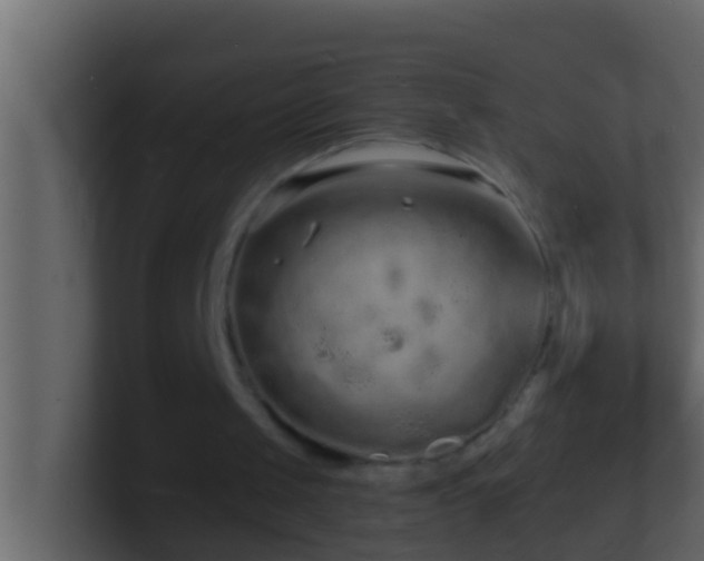 X0000101480049200807071512