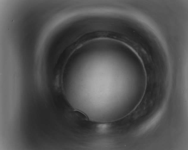 X0000101480050200807071512