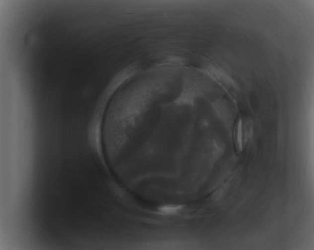 X0000101480051200807071512