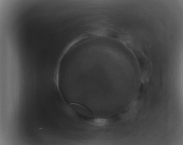X0000101480052200807071512