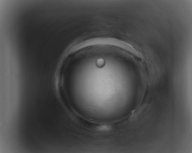 X0000101480053200807071512