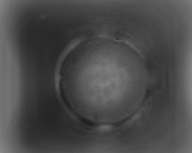X0000101480055200807071512