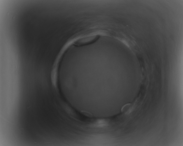 X0000101480056200807071512