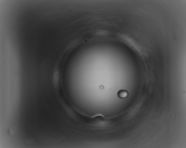 X0000101480057200807071512
