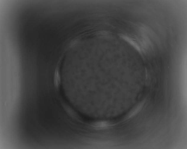 X0000101480061200807071512