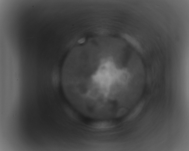 X0000101480065200807071512