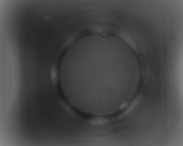 X0000101480067200807071513