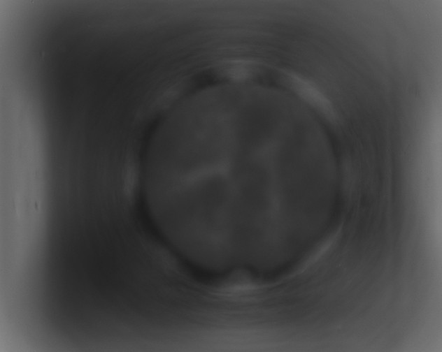 X0000101480073200807071513