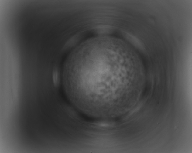 X0000101480074200807071513