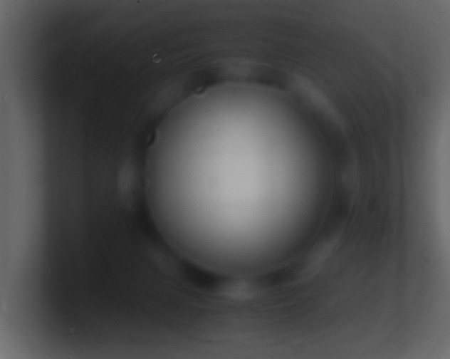 X0000101480079200807071513