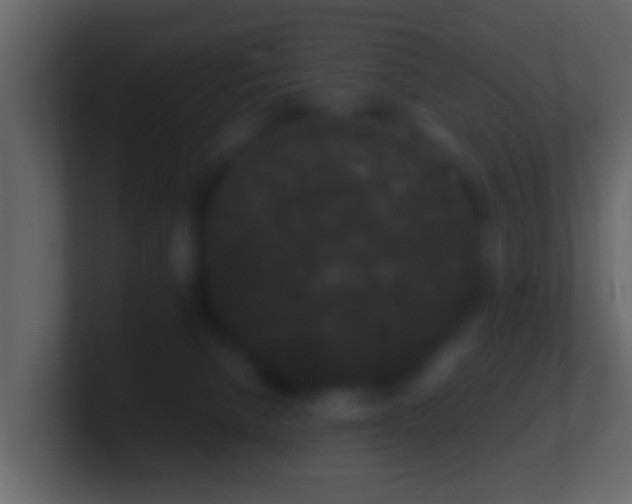 X0000101480080200807071513