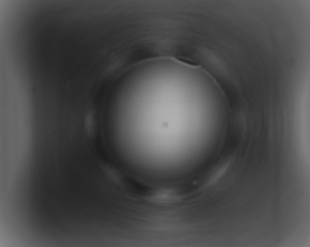 X0000101480088200807071513
