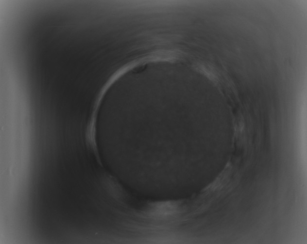 X0000101480100200807071512