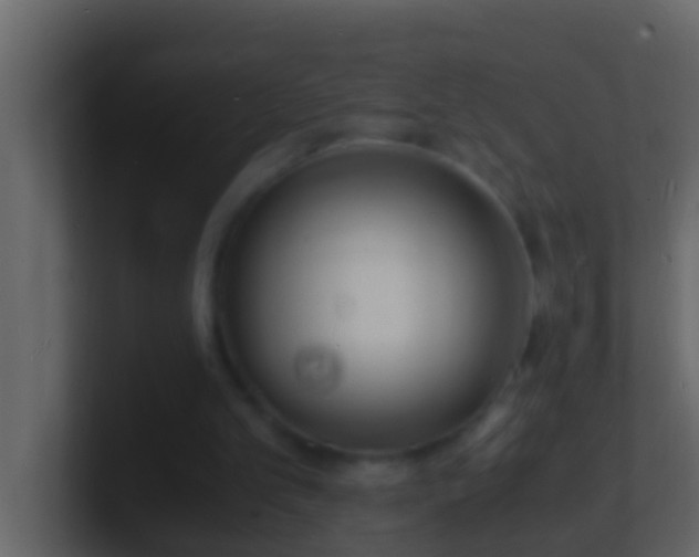 X0000101480101200807071512