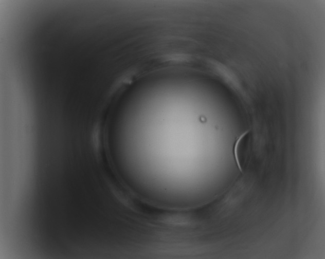 X0000101480106200807071512