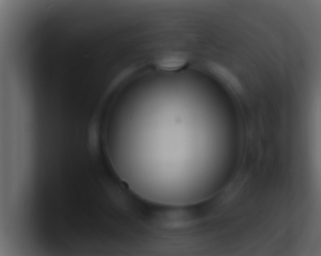 X0000101480108200807071512
