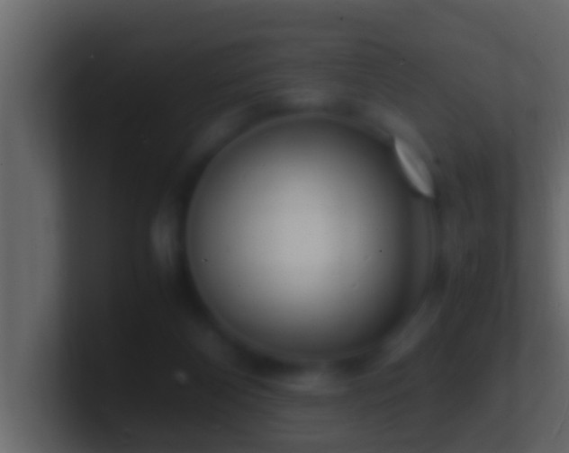 X0000101480116200807071512