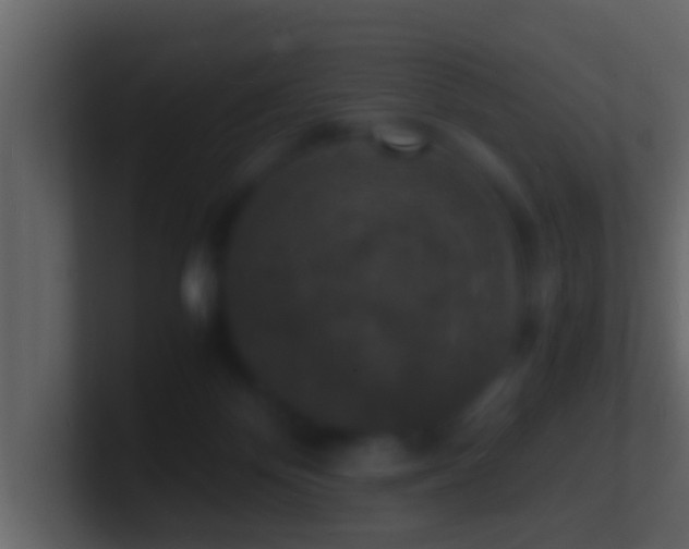 X0000101480124200807071512
