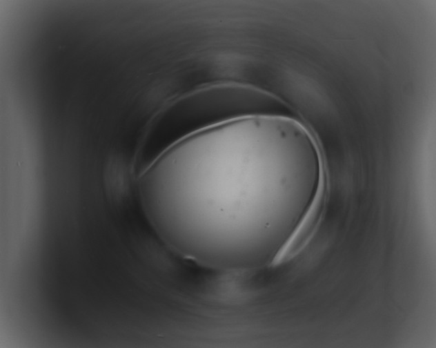 X0000101480136200807071512