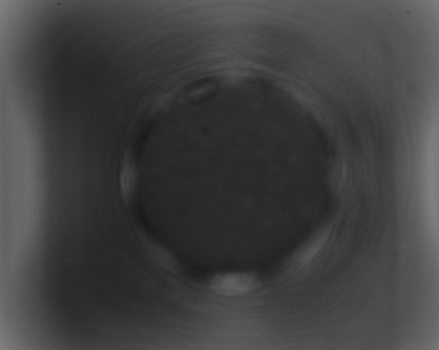 X0000101480137200807071512