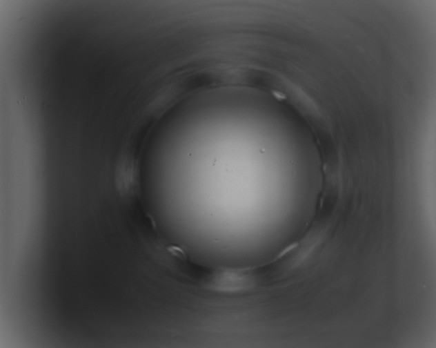 X0000101480141200807071512