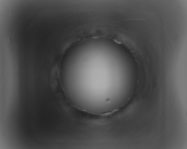 X0000101480144200807071512