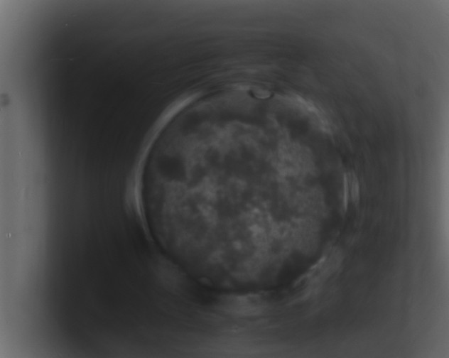 X0000101480147200807071511