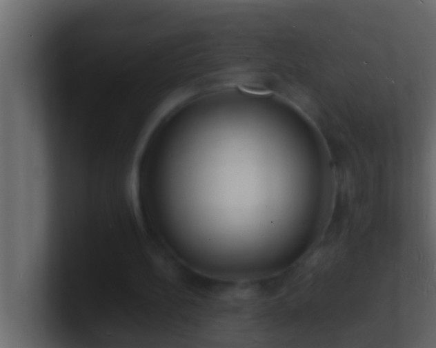X0000101480148200807071511