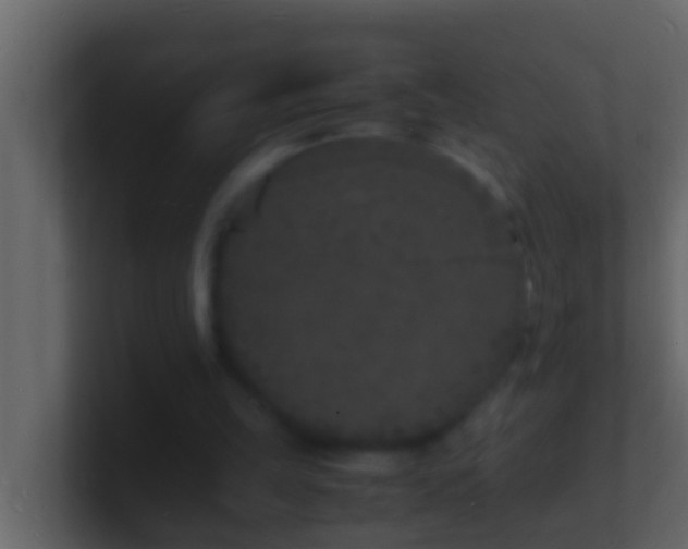 X0000101480149200807071511