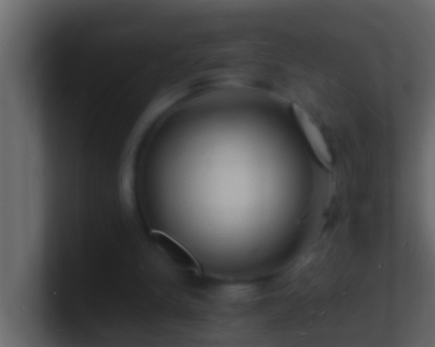 X0000101480150200807071511