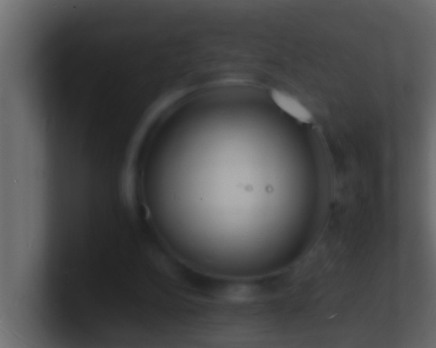 X0000101480152200807071511