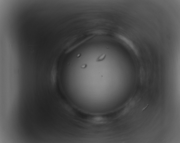 X0000101480153200807071511