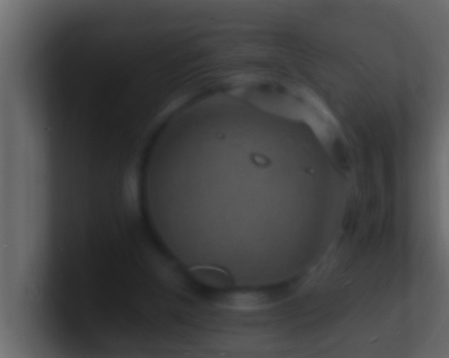 X0000101480154200807071511