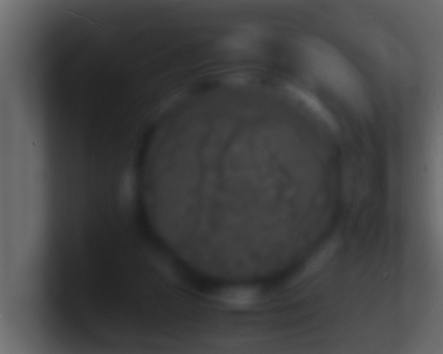 X0000101480161200807071511