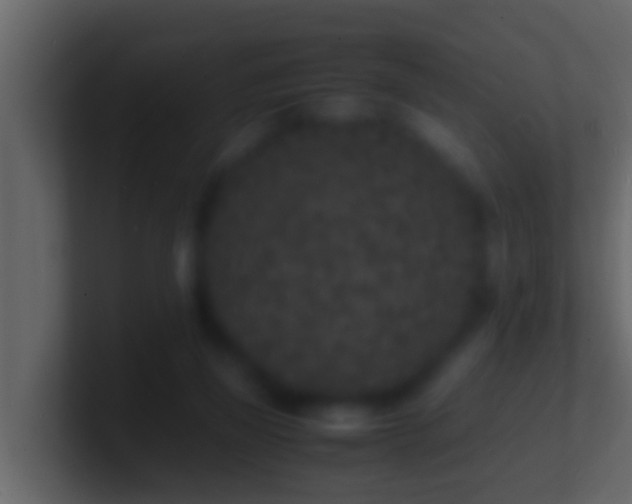 X0000101480165200807071511