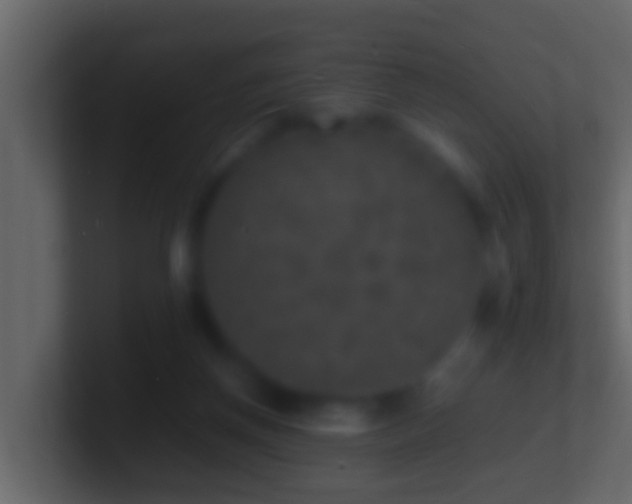 X0000101480166200807071511