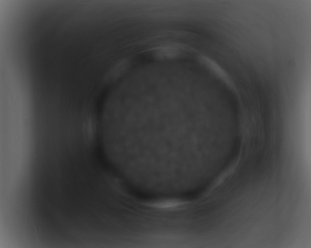 X0000101480169200807071511