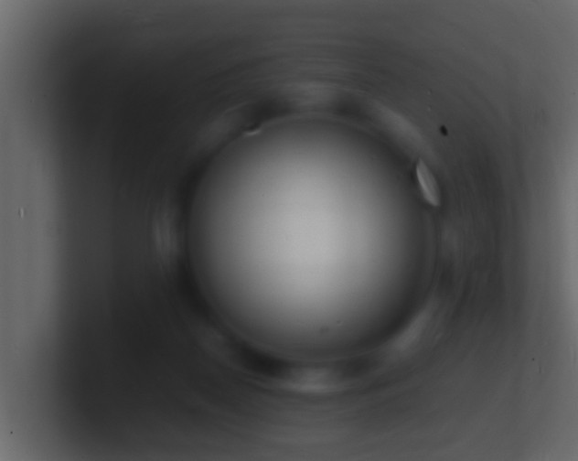 X0000101480170200807071511
