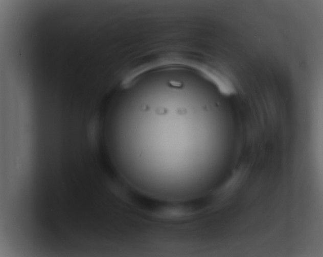 X0000101480171200807071511