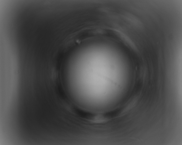 X0000101480173200807071511
