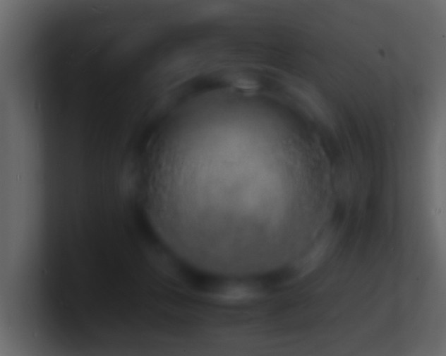 X0000101480175200807071511