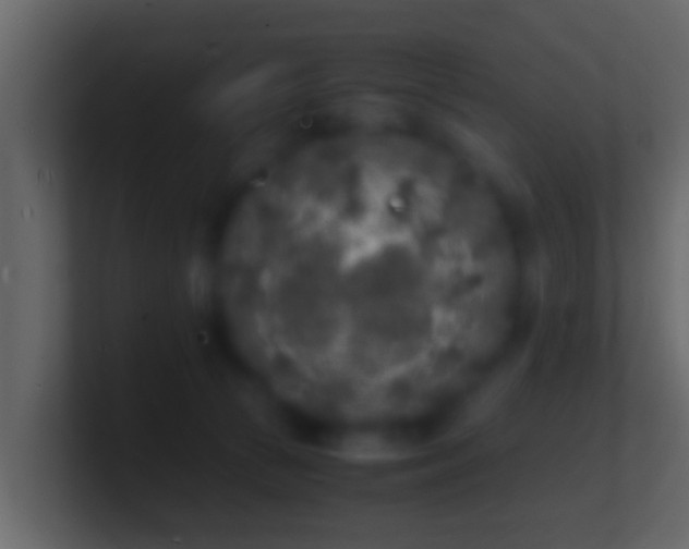 X0000101480177200807071511