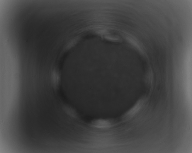 X0000101480180200807071511