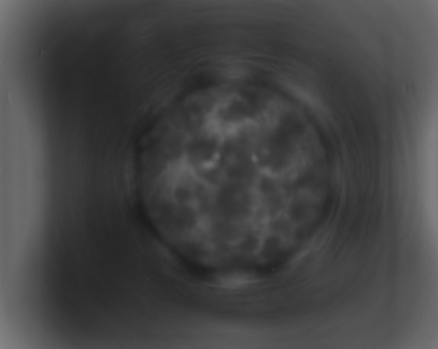 X0000101480181200807071511