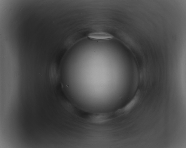 X0000101480186200807071512