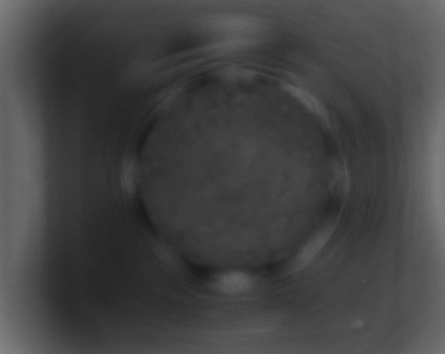 X0000101480189200807071512