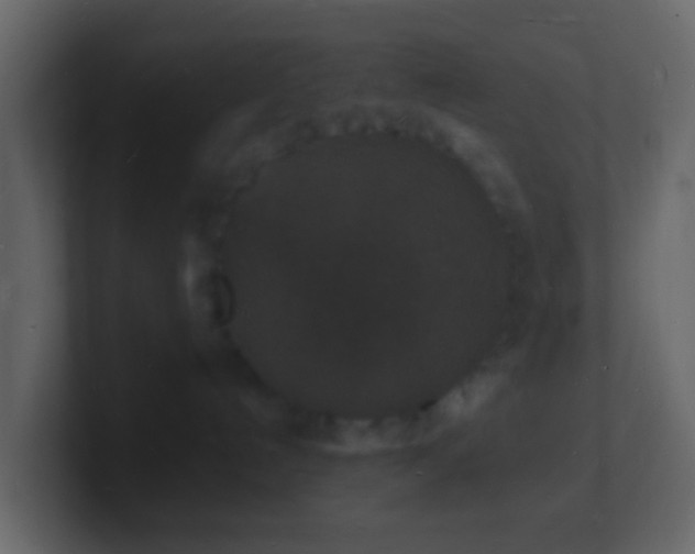 X0000101480192200807071512