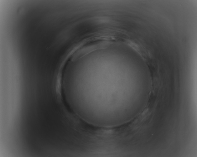 X0000101480194200807071511